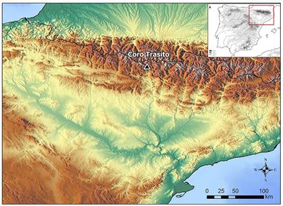 Early husbandry practices in highland areas during the Neolithic: the case of Coro Trasito cave (Huesca, Spain)